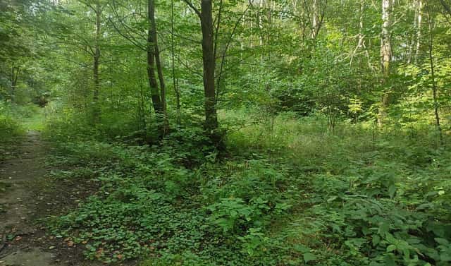Prodej stavebního pozemku 406 m², Karla Čapka, Jeseník
