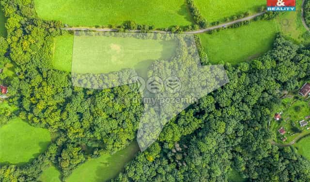 Prodej lesa 22 174 m², Homole u Panny – Suletice, okres Ústí nad Labem