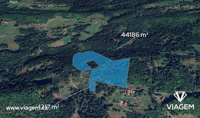 Prodej lesa 45 503 m², Prostřední Bečva, okres Vsetín