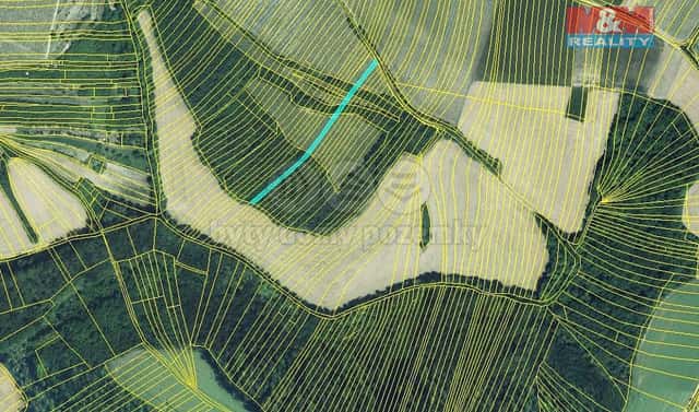 Prodej lesa 553 m², Křepice, okres Břeclav
