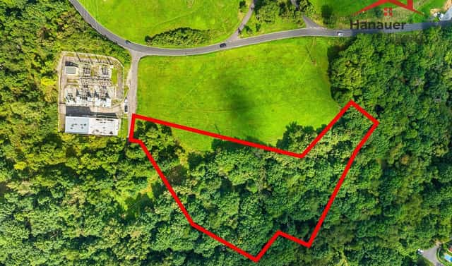 Prodej louky 10 041 m², Zelená, Ústí nad Labem – Neštěmice