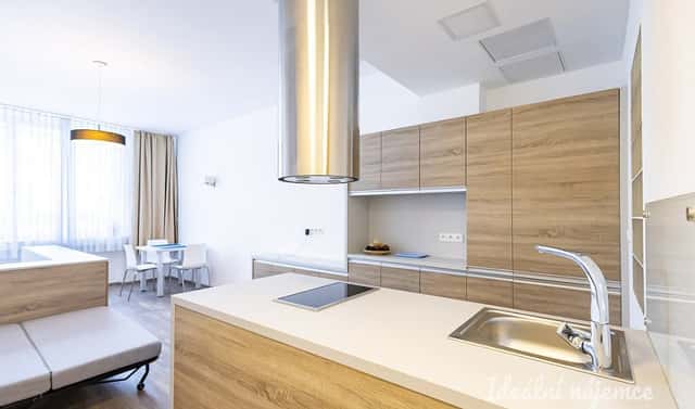 Pronájem bytu 1+kk 38 m², U půjčovny, Praha 1 – Nové Město