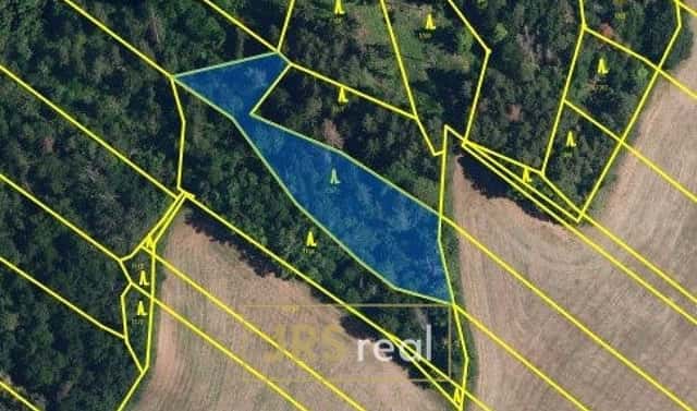 Prodej lesa 2 416 m², Březina, okres Brno-venkov