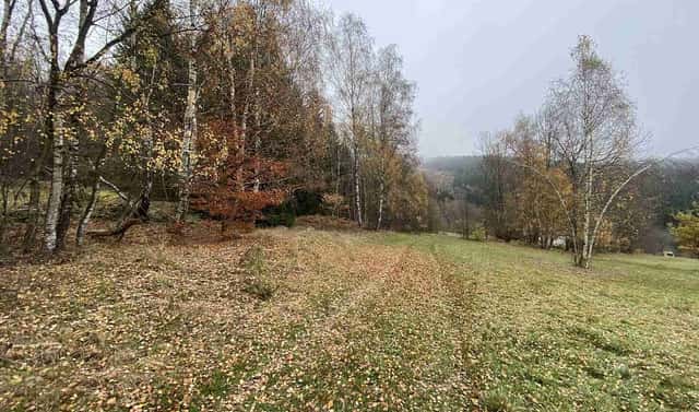 Prodej pole 1 158 m², Chvalšiny, okres Český Krumlov