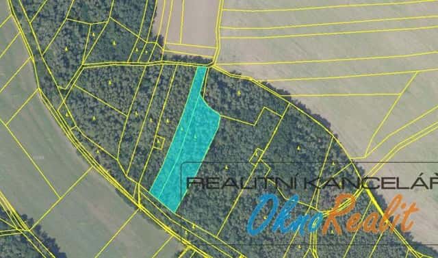 Prodej lesa 8 452 m², Tyršova, Týnec nad Labem, okres Kolín