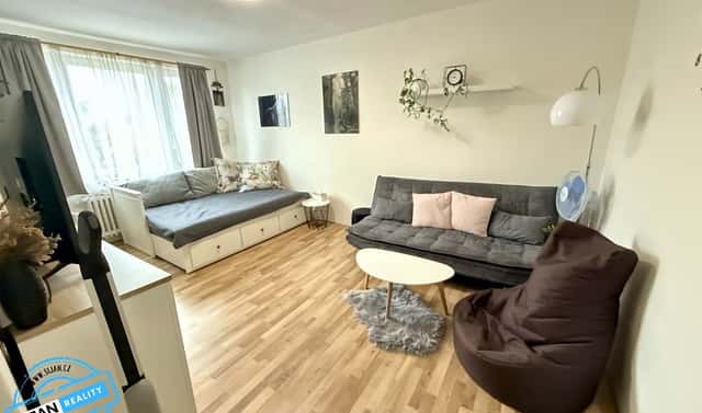 Pronájem bytu 1+1 38 m², Opava
