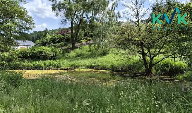 Pronájem zahrady 3 000 m², Sadov, okres Karlovy Vary