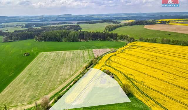 Prodej pole 6 672 m², Ostrov u Bezdružic – Pláň, okres Plzeň-sever