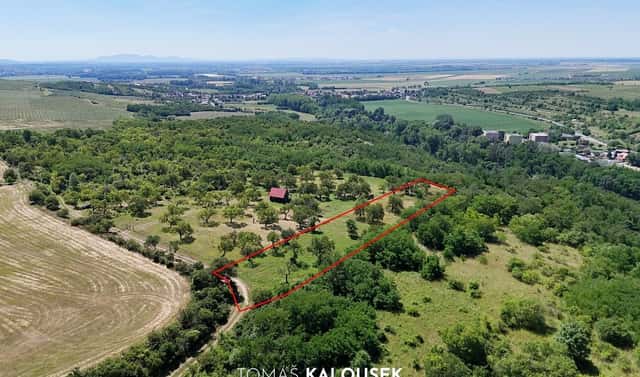 Prodej zahrady 4 478 m², Dolní Kounice, okres Brno-venkov