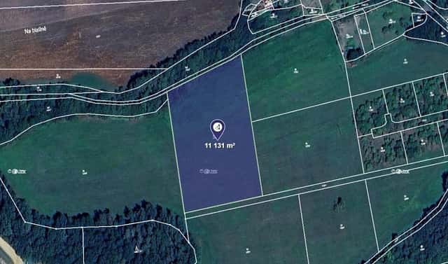 Prodej louky 11 131 m², Břasy, okres Rokycany