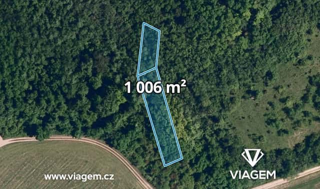 Prodej lesa 628 m², Lovčičky, okres Vyškov