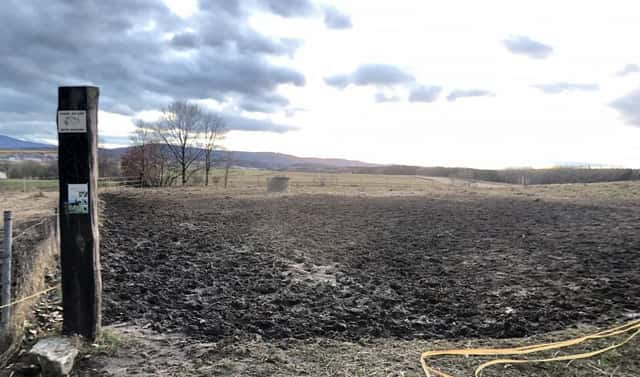Prodej pozemku 6 647 m², Homole – Nové Homole, okres České Budějovice