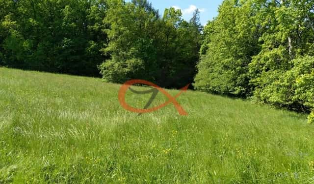 Prodej stavebního pozemku 9 208 m², Háj ve Slezsku, okres Opava