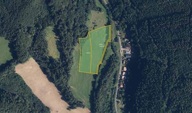 Prodej louky 15 330 m², Ruda nad Moravou – Hostice, okres Šumperk
