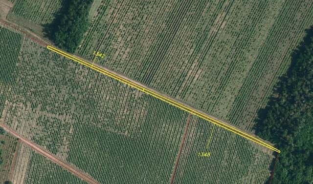 Prodej pozemku 1 303 m², Hrádek, okres Znojmo