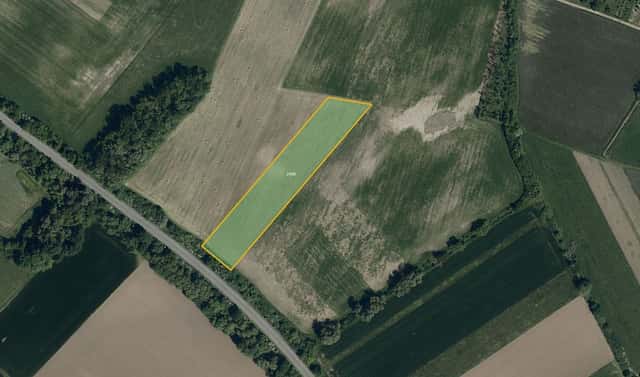 Prodej pole 2 555 m², Veselí nad Moravou, okres Hodonín