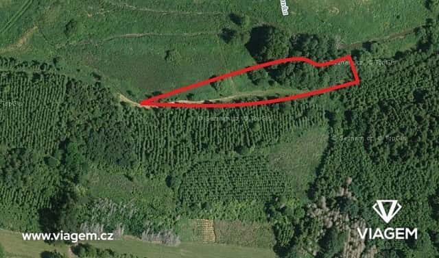 Prodej lesa 2 254 m², Budeč, okres Jindřichův Hradec