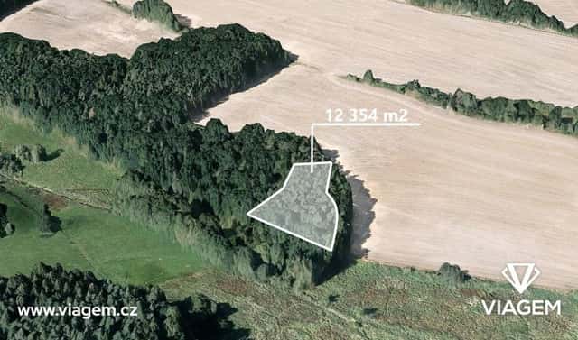 Prodej lesa 2 059 m², Líšťany, okres Plzeň-sever