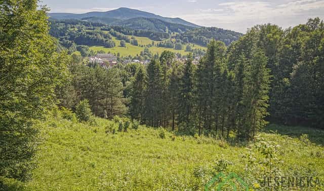 Prodej pole 12 392 m², Lipová-lázně, okres Jeseník