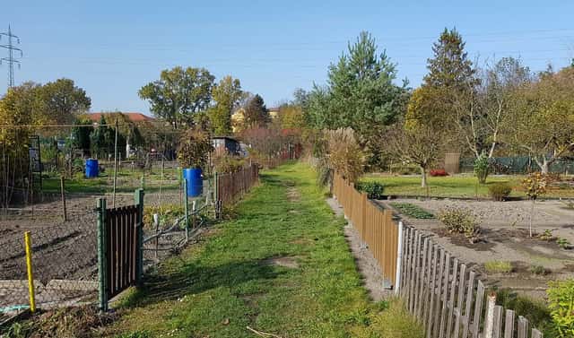 Pronájem zahrady 200 m², Rybitví, okres Pardubice