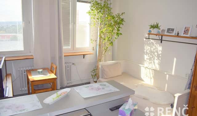 Prodej bytu 1+kk 23 m², Halasovo náměstí, Brno – Lesná, okres Brno-město