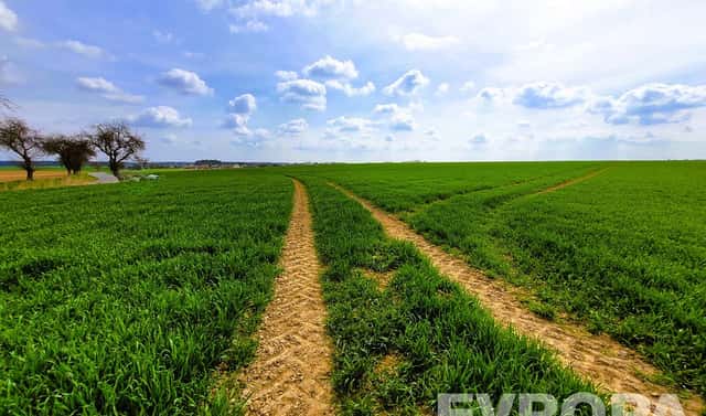Prodej pole 27 281 m², Čistá, okres Mladá Boleslav