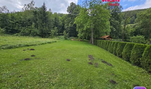 Prodej louky 2 079 m², Vápenná, okres Jeseník