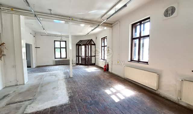 Pronájem obchodních prostor 221 m², Riegrova, Brno – Královo Pole, okres Brno-město