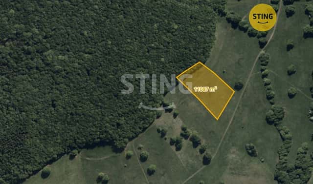 Prodej lesa 11 087 m², Hrubá Vrbka, okres Hodonín