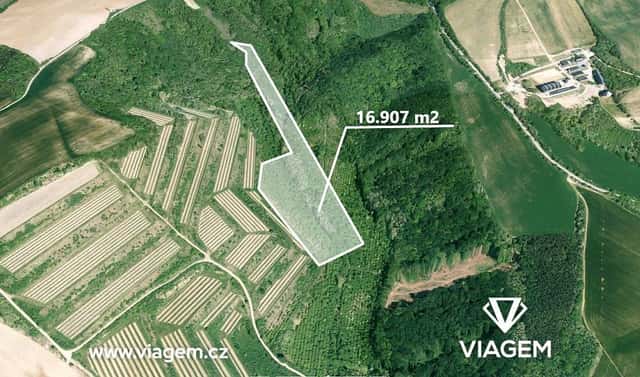 Prodej zahrady 16 907 m², Nikolčice, okres Břeclav