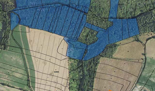 Prodej lesa 5 231 m², Pavlíkov, okres Rakovník