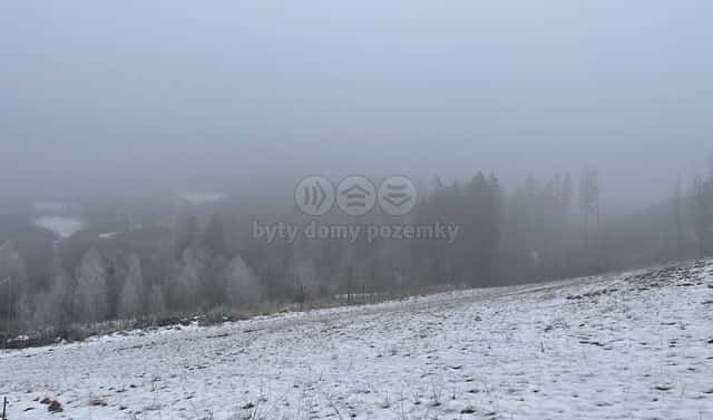 Prodej lesa 8 638 m², Železný Brod, okres Jablonec nad Nisou