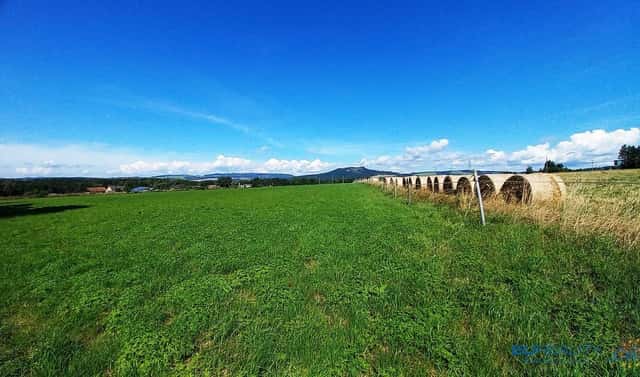 Prodej louky 17 068 m², Police nad Metují – Radešov, okres Náchod