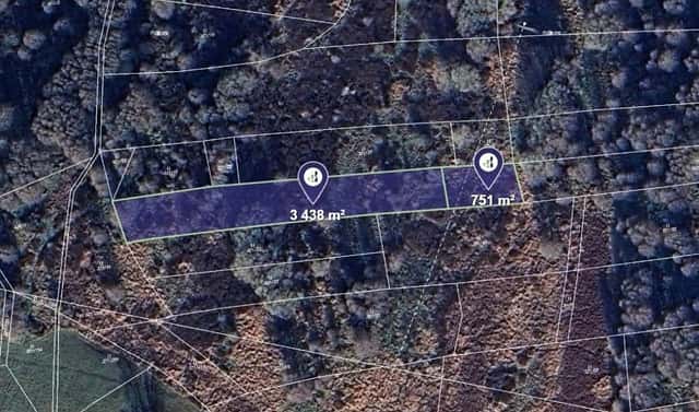 Prodej louky 4 189 m², Bakov nad Jizerou, okres Mladá Boleslav