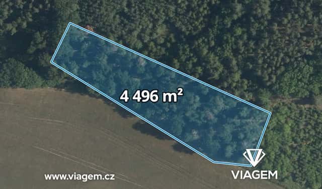 Prodej lesa 4 496 m², Sudovo Hlavno, okres Praha-východ