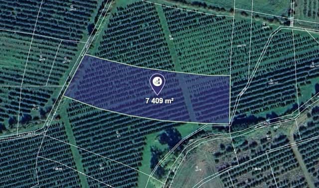 Prodej pole 3 705 m², Liběšice, okres Litoměřice
