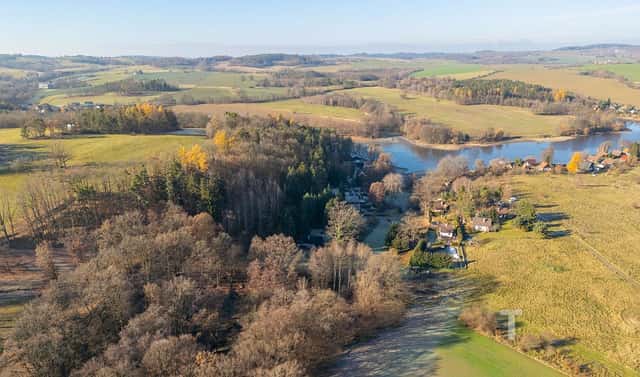 Prodej lesa 19 533 m², Vrchotovy Janovice, okres Benešov