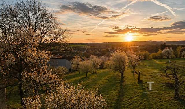 Prodej stavebního pozemku 1 026 m², Bořitov, okres Blansko