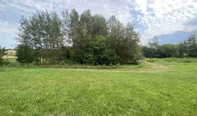 Prodej pozemku 4 446 m², Písečné – Slavětín, okres Jindřichův Hradec