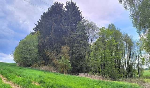 Prodej pozemku 927 m², Lipová – Mýtina, okres Cheb