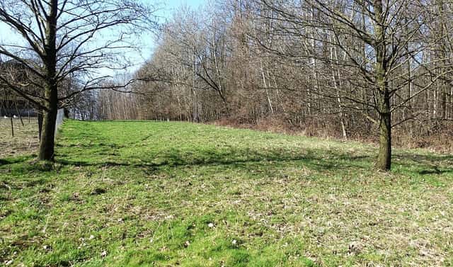 Prodej louky 6 013 m², Sokolská, Bohumín, okres Karviná