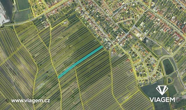 Prodej pole 293 m², Hrušky, okres Břeclav