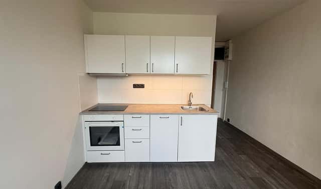 Pronájem bytu 1+1 35 m², Marš. Rybalka, Most