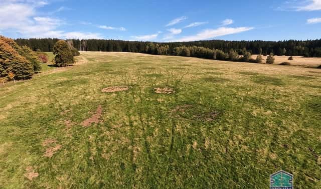 Prodej louky 410 390 m², Lesná – Stará Knížecí Huť, okres Tachov
