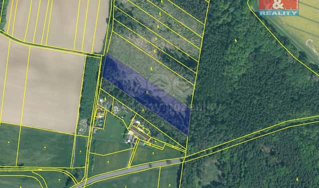 Prodej lesa 7 675 m², Stehlovice, okres Písek