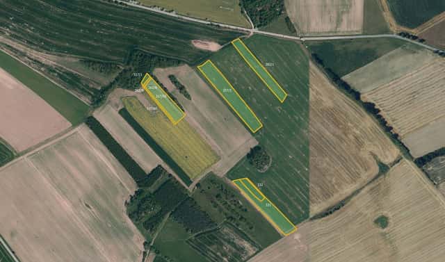 Prodej pole 9 996 m², Milešín, okres Žďár nad Sázavou
