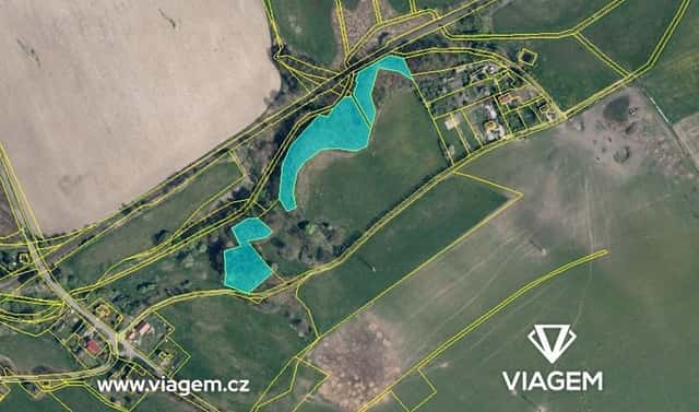 Prodej lesa 6 558 m², Česká Lípa