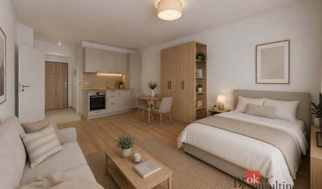 Prodej bytu 1+kk 36 m², Železná, Plzeň – Jižní Předměstí, okres Plzeň-město