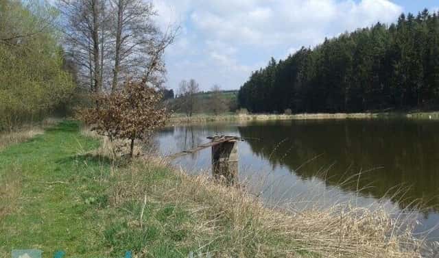 Prodej pozemku 4 724 m², Hříšice – Jersice, okres Jindřichův Hradec