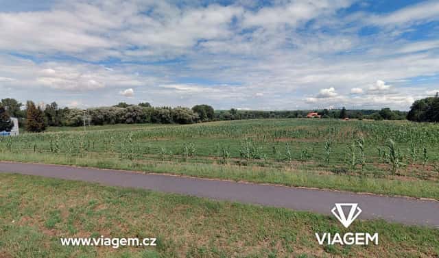 Prodej pole 5 054 m², Víceměřice, okres Prostějov